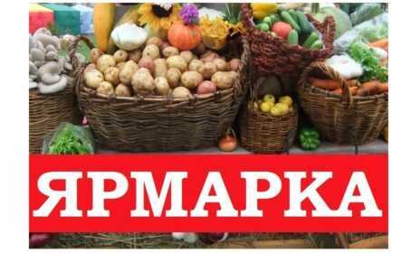 ярмарка кобрин