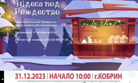 Александро-Невский собор приглашает принять участие в благотворительной ярмарке «Чудеса под Рождество»
