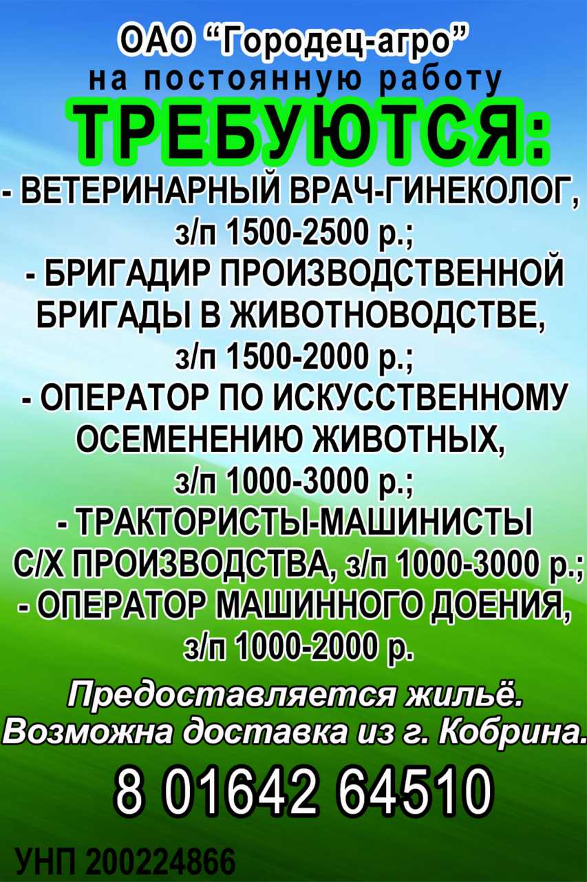 ВакансииКобрин-информ